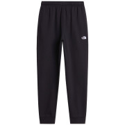 Pantalons de survêtement hommes The North Face M Evolution Simple Dome Regular Jogger noir TNF BLACK