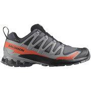 Chaussures randonnée homme Salomon Xa Pro 3D V9 Gore-Tex