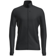 Sweatshirt fonctionnel homme Icebreaker M Mer 260 Quantum IV LS Zip vert Black