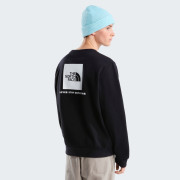 Sweat-shirt homme The North Face M Evolution Box Nse Regular Crew
