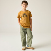T-shirt enfant Regatta Bosley Wood Brown