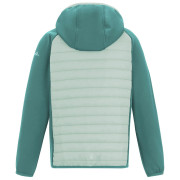 Veste enfant Regatta Junior Andreson Hybrid IvyMossOMist