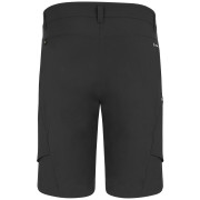 Short homme Salewa Puez Dst M Cargo Shorts