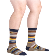 Chaussettes homme Darn Tough Druid Crew Lightweight