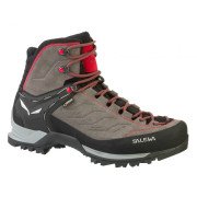 Chaussures homme Salewa MS MTN Trainer MID GTX