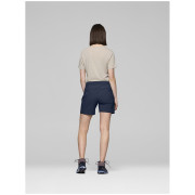 Shorts femme Norrona falketind flex1 light Shorts