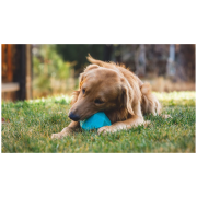 Jouet pour chien Ruffwear Gnawt-a-Rock™ Toy