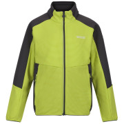 Sweatshirt enfant Regatta Jnr Highton FZ II green GrnAlg/SlGry