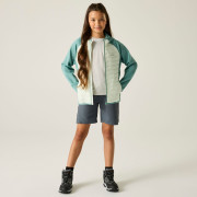 Veste enfant Regatta Junior Andreson Hybrid IvyMossOMist