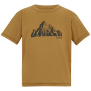 T-shirt enfant Regatta Alvarado Wood Brown brun Wood Brown