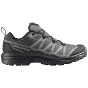 Chaussures de trekking homme Salomon Exraise Gtx gris Asphalt / Sedona Sage / Black