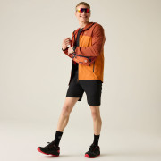 Veste homme Dare 2b Torrek III Jacket