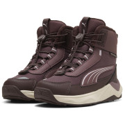 Chaussures enfant Puma Puma Evolve 2.0 Boot PS Rich Cocoa-Powde