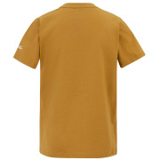 T-shirt enfant Regatta Bosley Wood Brown