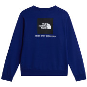 Sweat-shirt homme The North Face M Evolution Box Nse Regular Crew
