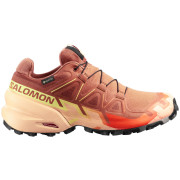 Chaussures femme Salomon Speedcross 6 Gore-Tex