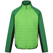 Veste homme Regatta Clumber IV Hybrid green Jasmine Green/Field Green