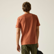 T-shirt homme Regatta Cline IX