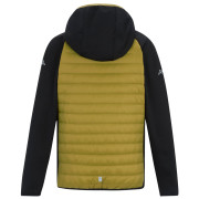 Veste enfant Regatta Junior Andreson Hybrid BlkWdBrown