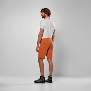 Short homme Salewa Puez Talveno Dst Shorts M