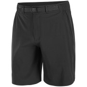 Shorts homme Salomon Wayfarer 2.0 short M noir Deep Black