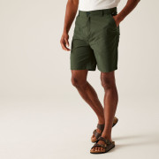 Shorts homme Regatta Dalry Short
