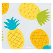 Bouteille Nalgene Narrow Mouth Fruit 500 ml