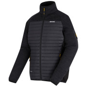 Veste homme Regatta Ceden Hybrid