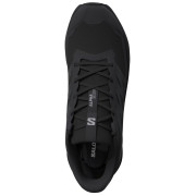 Chaussures femme Salomon Alphaglide Gore-Tex
