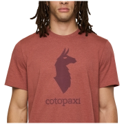 T-shirt homme Cotopaxi M'S Cotopaxi Llama T-Shirt