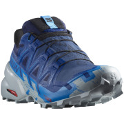 Chaussures de running hommes Salomon Speedcross 6 Gore-Tex bleue Blue Print / Ibiza Blue / Quarry