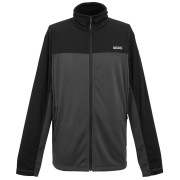 Sweat-shirt homme Regatta Highton Full Zip Midlayer girs Ash/Black