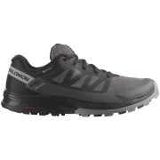 Chaussures de running femme Salomon Outrise Gore-Tex