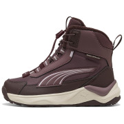 Chaussures enfant Puma Puma Evolve 2.0 Boot PS Rich Cocoa-Powde