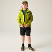Veste enfant Dare 2b Explore III Jacket Golden Cypress