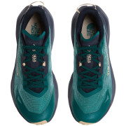 Chaussures de running hommes The North Face M Altamesa 300 V2