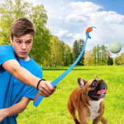 Jouet pour chien Nerf Dog Set Lightning & Sonic