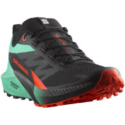 Chaussures de running hommes Salomon Sense Ride 5 gris / vert Black / Bay / Cherry Tomato