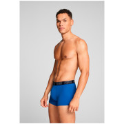 Caleçon homme Puma Everyday Trunk 2P