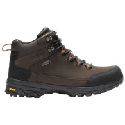 Chaussures de montagne pour hommes Regatta Burrell Leather Boot II brun foncé Peat