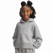 Sweatshirt enfant Under Armour Rival Fleece Crop Hoodie