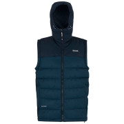 Gilet homme Regatta Aldthorn B/W bleu MnlgtDen/Nvy
