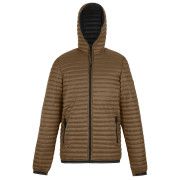 Veste homme Regatta Rigain