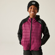 Veste enfant Regatta Kielder Hybrid IX