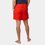 Shorts homme Helly Hansen Calshot Trunk