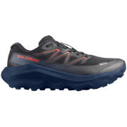 Chaussures homme Salomon Ultra Flow 2 Gore-Tex