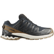 Chaussures homme Salomon Xa Pro 3D V9 Gore-Tex Lifelong noir / brun Black / Coyote Brown / Vanilla Ice