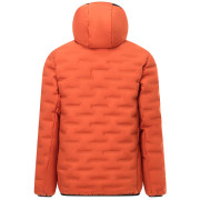 Veste matelassée pour homme Regatta Astrel