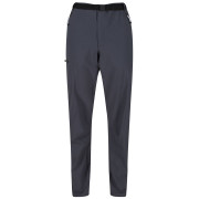 Pantalon homme Regatta Xert Str Trs III