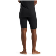 Pantalon sous-vêtements homme Icebreaker 200 Oasis Shorts